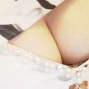 ヒメ日記 2025/06/25 08:40 投稿 みらい 石庭