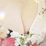 ヒメ日記 2025/07/01 08:20 投稿 みらい 石庭