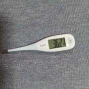 ヒメ日記 2025/07/01 08:50 投稿 みらい 石庭