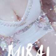 ヒメ日記 2025/07/13 10:00 投稿 みらい 石庭