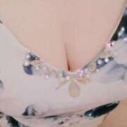 ヒメ日記 2025/07/15 10:00 投稿 みらい 石庭