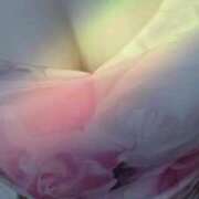 ヒメ日記 2025/07/16 11:00 投稿 みらい 石庭