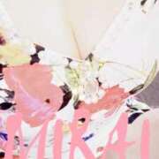 ヒメ日記 2025/07/20 10:07 投稿 みらい 石庭