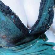 ヒメ日記 2025/07/22 08:20 投稿 みらい 石庭