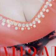 ヒメ日記 2025/07/27 08:23 投稿 みらい 石庭