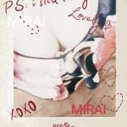 ヒメ日記 2025/07/29 11:30 投稿 みらい 石庭