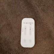 ヒメ日記 2025/08/04 10:40 投稿 みらい 石庭