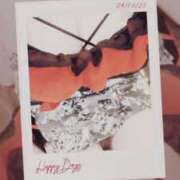 ヒメ日記 2025/08/04 11:00 投稿 みらい 石庭