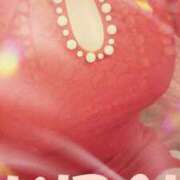 ヒメ日記 2025/08/05 10:00 投稿 みらい 石庭