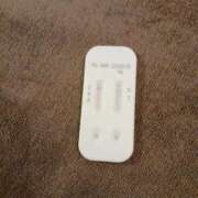 ヒメ日記 2025/08/17 10:30 投稿 みらい 石庭