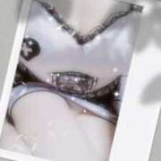 ヒメ日記 2025/08/17 11:00 投稿 みらい 石庭