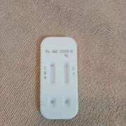 ヒメ日記 2025/08/24 10:30 投稿 みらい 石庭