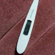 ヒメ日記 2025/08/31 08:50 投稿 みらい 石庭