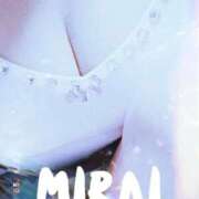 ヒメ日記 2025/09/01 08:40 投稿 みらい 石庭