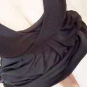 ヒメ日記 2025/09/01 10:00 投稿 みらい 石庭