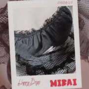 ヒメ日記 2025/09/03 08:20 投稿 みらい 石庭