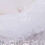 ヒメ日記 2025/09/07 08:40 投稿 みらい 石庭