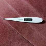 ヒメ日記 2025/09/10 08:50 投稿 みらい 石庭