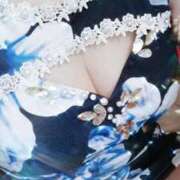 ヒメ日記 2025/09/10 11:30 投稿 みらい 石庭