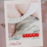 ヒメ日記 2025/09/15 11:00 投稿 みらい 石庭