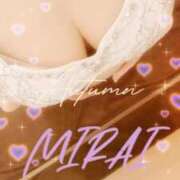 ヒメ日記 2025/09/17 08:20 投稿 みらい 石庭