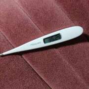 ヒメ日記 2025/09/17 08:50 投稿 みらい 石庭