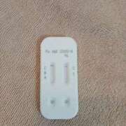 ヒメ日記 2025/09/21 10:30 投稿 みらい 石庭