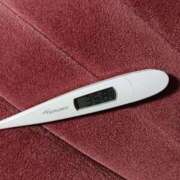 ヒメ日記 2025/09/22 08:50 投稿 みらい 石庭