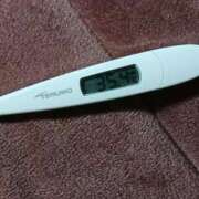 ヒメ日記 2025/09/23 08:50 投稿 みらい 石庭