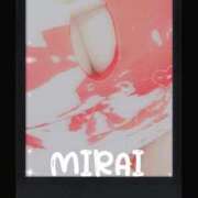 ヒメ日記 2025/09/23 11:00 投稿 みらい 石庭