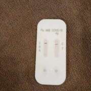 ヒメ日記 2025/09/30 10:46 投稿 みらい 石庭