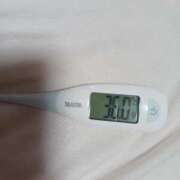 ヒメ日記 2025/10/01 08:50 投稿 みらい 石庭