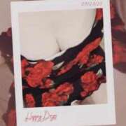 ヒメ日記 2025/10/06 08:34 投稿 みらい 石庭