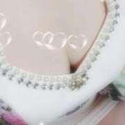 ヒメ日記 2025/10/14 08:34 投稿 みらい 石庭