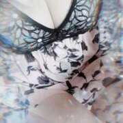 ヒメ日記 2025/10/14 11:30 投稿 みらい 石庭