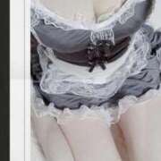 ヒメ日記 2025/10/20 12:07 投稿 みらい 石庭