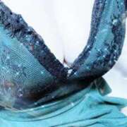 ヒメ日記 2025/10/27 08:40 投稿 みらい 石庭