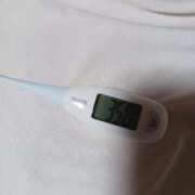 ヒメ日記 2025/10/28 08:50 投稿 みらい 石庭