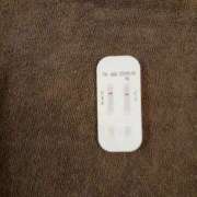 ヒメ日記 2025/10/29 10:30 投稿 みらい 石庭