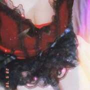 ヒメ日記 2025/10/29 12:01 投稿 みらい 石庭