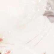 ヒメ日記 2025/11/03 10:10 投稿 みらい 石庭