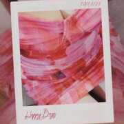 ヒメ日記 2025/11/04 08:40 投稿 みらい 石庭