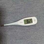 ヒメ日記 2025/11/05 08:50 投稿 みらい 石庭