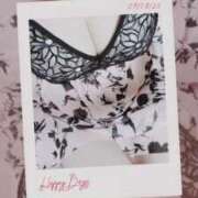 ヒメ日記 2025/11/12 11:00 投稿 みらい 石庭