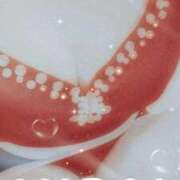 ヒメ日記 2025/11/16 08:20 投稿 みらい 石庭