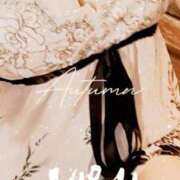 ヒメ日記 2025/11/18 08:40 投稿 みらい 石庭