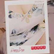 ヒメ日記 2025/11/26 08:20 投稿 みらい 石庭