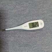 ヒメ日記 2025/11/30 08:50 投稿 みらい 石庭