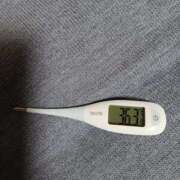 ヒメ日記 2025/12/02 08:51 投稿 みらい 石庭