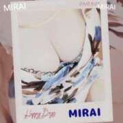 ヒメ日記 2025/12/07 11:10 投稿 みらい 石庭